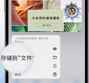 西吉apple维修中心分享iPhone文件应用中存储和找到下载文件