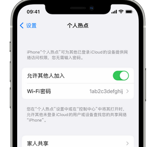 西吉apple服务站点分享iPhone上个人热点丢失了怎么办