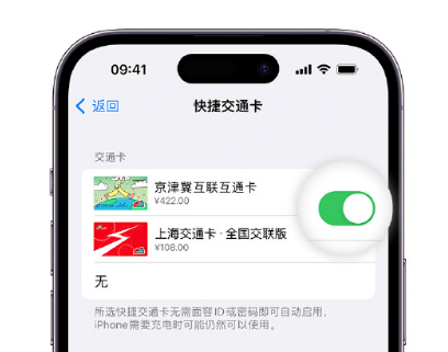 西吉apple维修点分享iPhone上更换Apple Pay快捷交通卡手绘卡面 