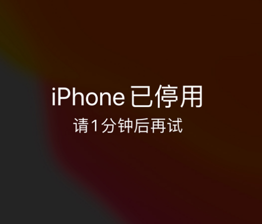 西吉苹果手机维修分享:iPhone 显示“不可用”或“已停用”怎么办？还能保留数据吗？ 