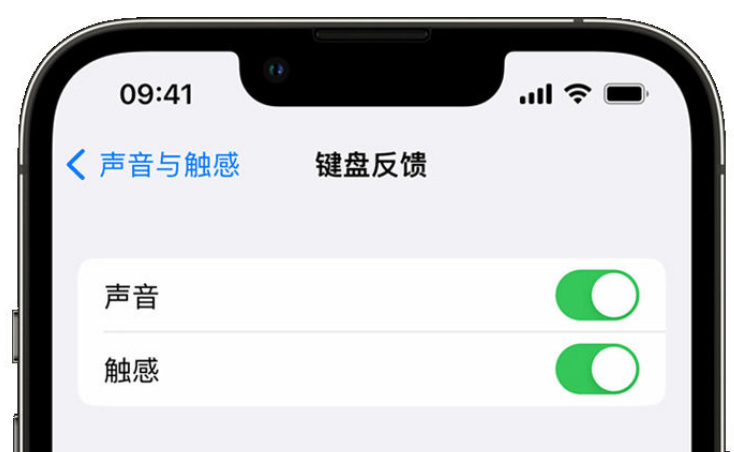 西吉苹果手机维修分享iPhone 14触感键盘使用方法 