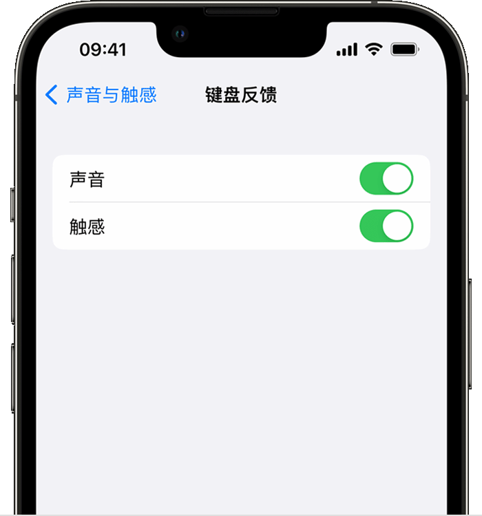 西吉苹果14维修店分享如何在 iPhone 14 机型中使用触感键盘 