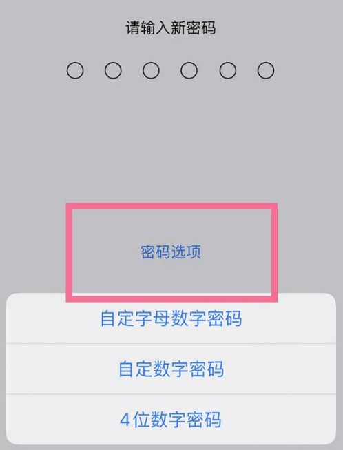 西吉苹果14维修分享iPhone 14plus设置密码的方法 