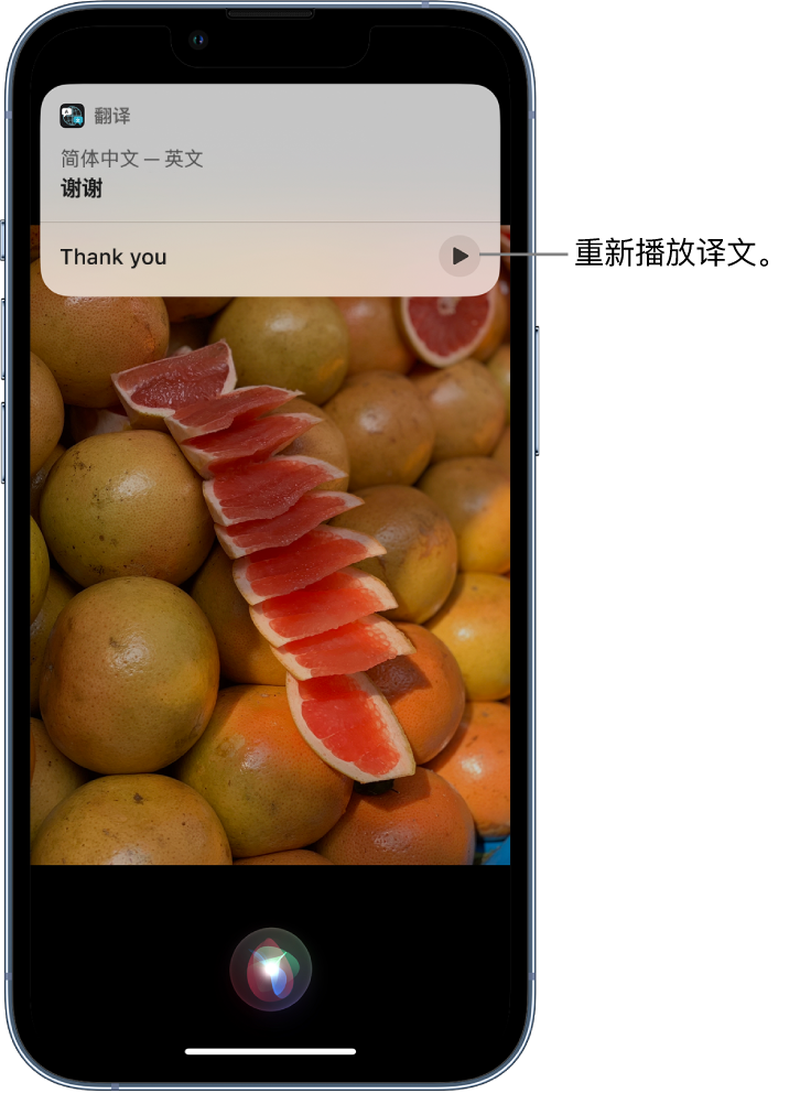 西吉苹果14维修分享 iPhone 14 机型中使用 Siri：了解 Siri 能帮你做什么 