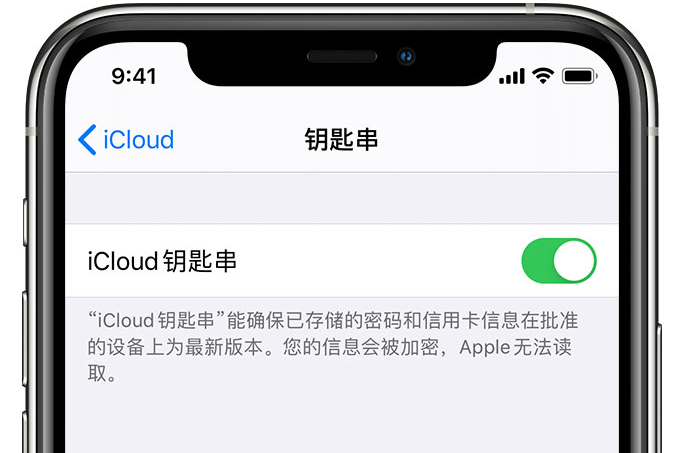 西吉苹果手机维修分享在 iPhone 上开启 iCloud 钥匙串之后会储存哪些信息 