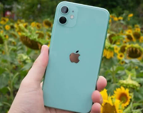 西吉苹果维修点分享iPhone 11锁屏密码认知与使用科普 